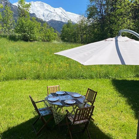 Appartement Lumineux Et Cosy En Rez De Jardin Saint-Gervais-les-Bains Dış mekan fotoğraf