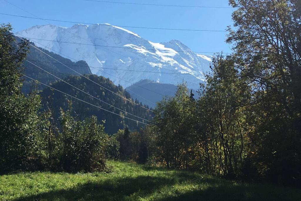 Appartement Lumineux Et Cosy En Rez De Jardin Saint-Gervais-les-Bains Dış mekan fotoğraf