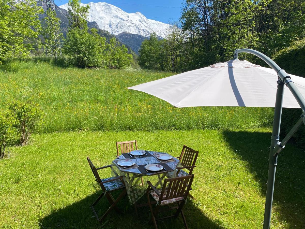 Appartement Lumineux Et Cosy En Rez De Jardin Saint-Gervais-les-Bains Dış mekan fotoğraf