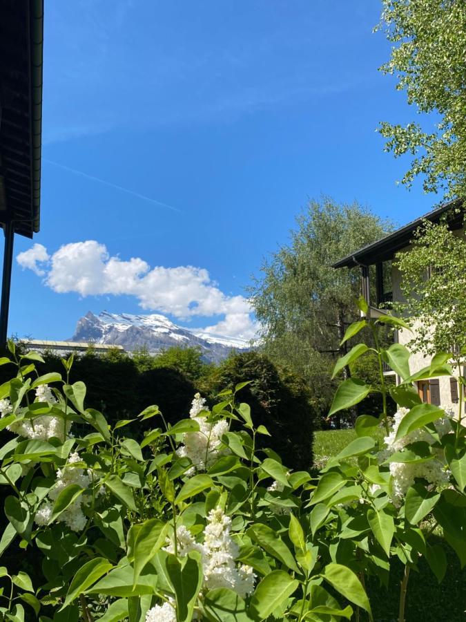 Appartement Lumineux Et Cosy En Rez De Jardin Saint-Gervais-les-Bains Dış mekan fotoğraf